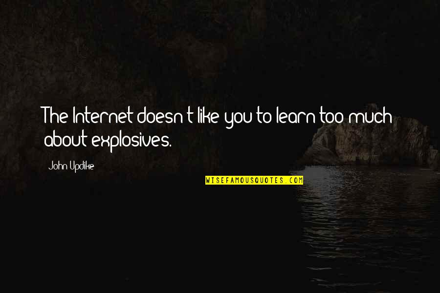 Jonathan Burkett Quote Quotes By John Updike: The Internet doesn't like you to learn too