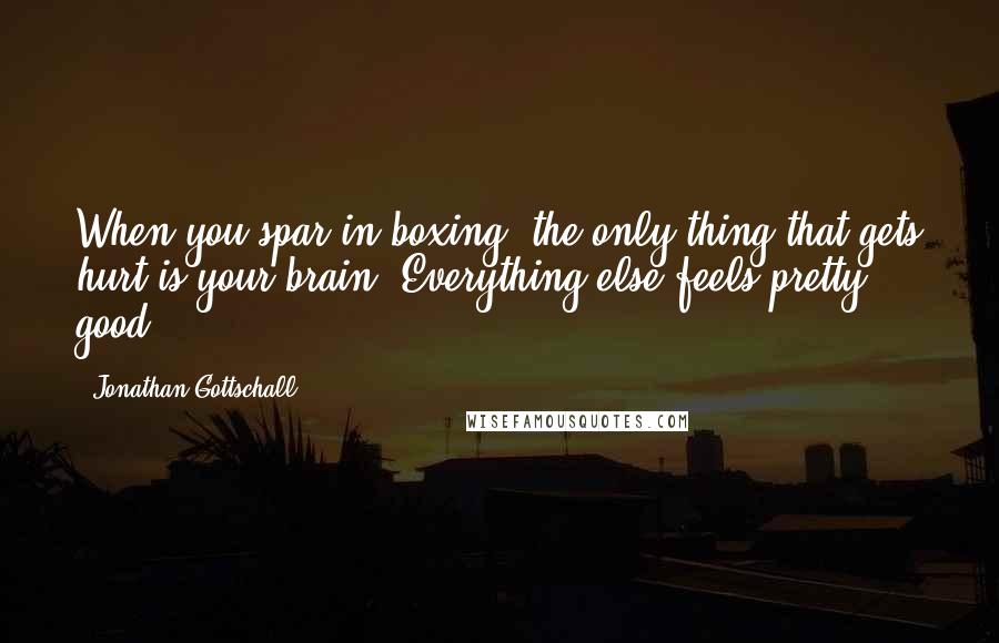 Jonathan Gottschall quotes: When you spar in boxing, the only thing that gets hurt is your brain. Everything else feels pretty good.