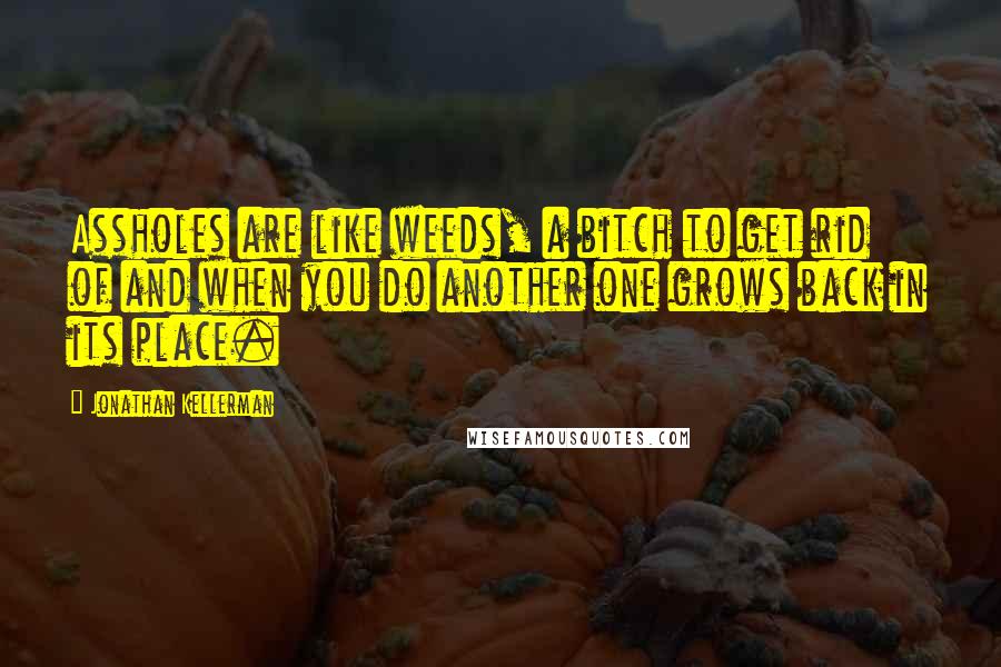 Jonathan Kellerman quotes: Assholes are like weeds, a bitch to get rid of and when you do another one grows back in its place.