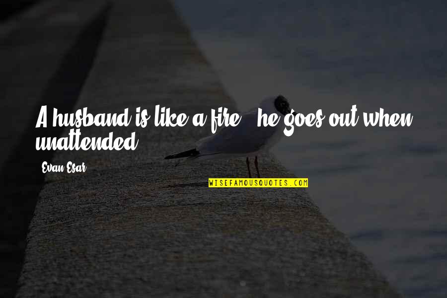 Jonathan Ott Quotes By Evan Esar: A husband is like a fire - he