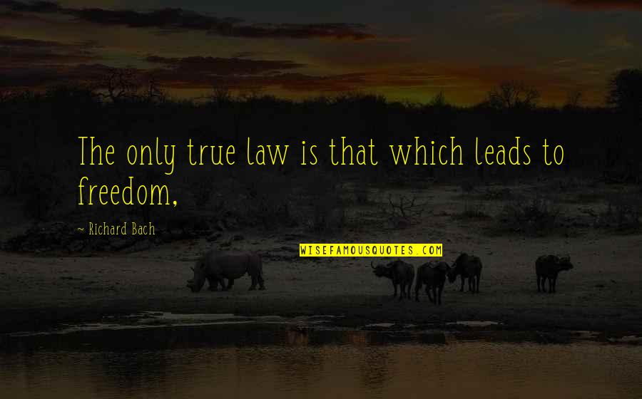 Jonathan Seagull Quotes By Richard Bach: The only true law is that which leads Jonathan Seagull Quotes By Richard Bach: The only true law is that which leads