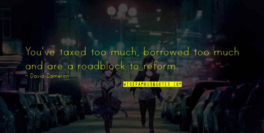 Jonathan Tisch Quotes By David Cameron: You've taxed too much, borrowed too much and