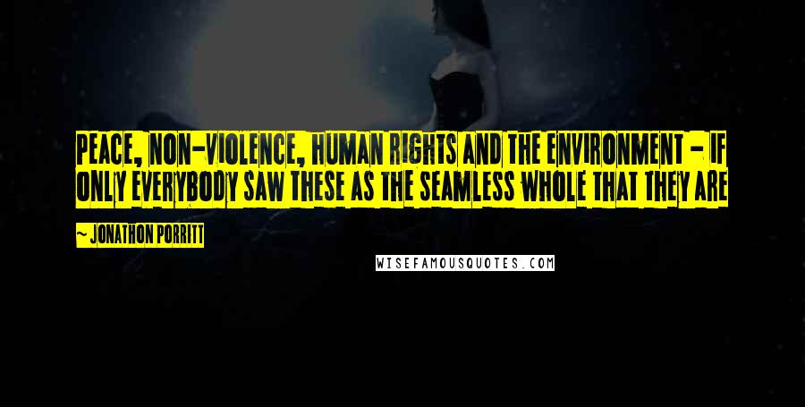 Jonathon Porritt quotes: Peace, non-violence, human rights and the environment - if only everybody saw these as the seamless whole that they are