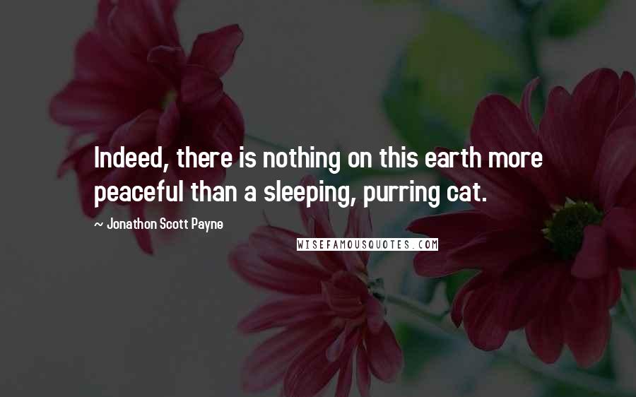Jonathon Scott Payne quotes: Indeed, there is nothing on this earth more peaceful than a sleeping, purring cat.