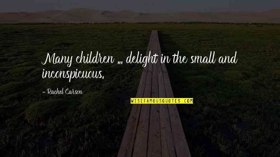 Jongetje In Zwembroek Quotes By Rachel Carson: Many children ... delight in the small and