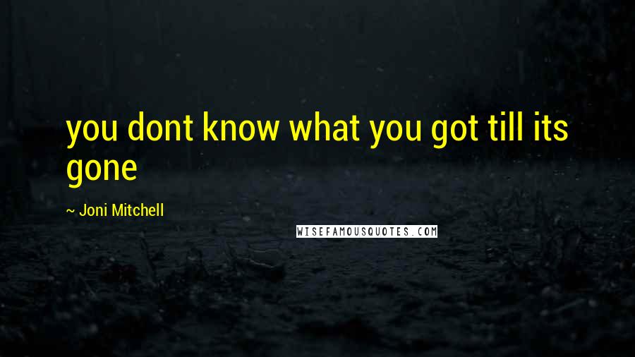 Joni Mitchell quotes: you dont know what you got till its gone Joni Mitchell quotes: you dont know what you got till its gone