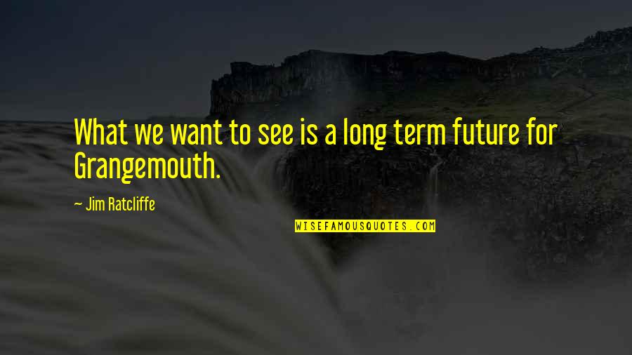 Jonjon Hayela Quotes By Jim Ratcliffe: What we want to see is a long Jonjon Hayela Quotes By Jim Ratcliffe: What we want to see is a long