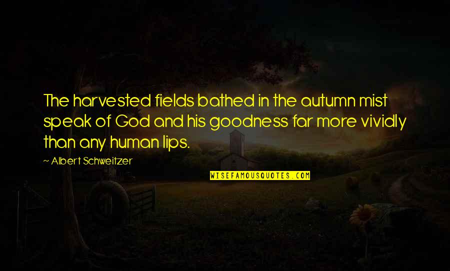 Jonnetta Gadson Quotes By Albert Schweitzer: The harvested fields bathed in the autumn mist Jonnetta Gadson Quotes By Albert Schweitzer: The harvested fields bathed in the autumn mist