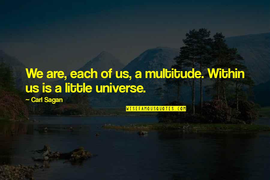 Jonty Fisher Quotes By Carl Sagan: We are, each of us, a multitude. Within