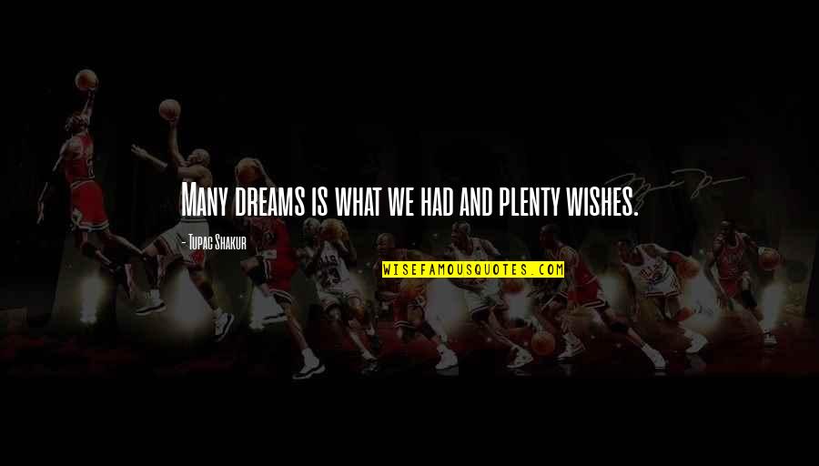 Jordan Kimball Quotes By Tupac Shakur: Many dreams is what we had and plenty Jordan Kimball Quotes By Tupac Shakur: Many dreams is what we had and plenty