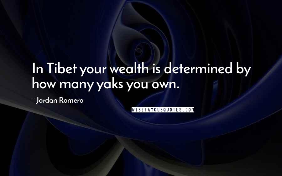 Jordan Romero quotes: In Tibet your wealth is determined by how many yaks you own.