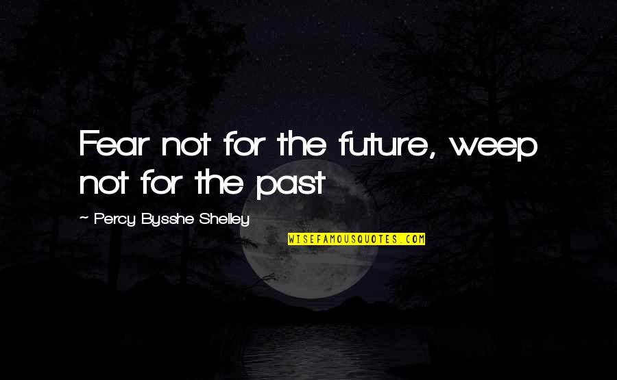 Jorgen Vig Knudstorp Quotes By Percy Bysshe Shelley: Fear not for the future, weep not for