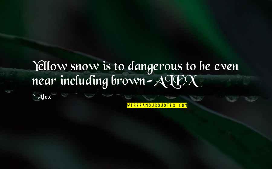 Jorgji Pano Quotes By Alex: Yellow snow is to dangerous to be even