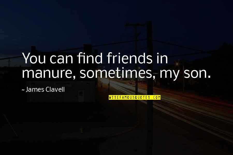 Joschka Quotes By James Clavell: You can find friends in manure, sometimes, my