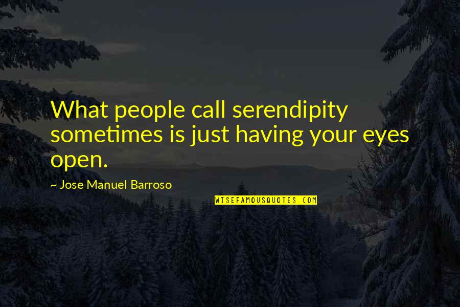 Jose Barroso Quotes By Jose Manuel Barroso: What people call serendipity sometimes is just having