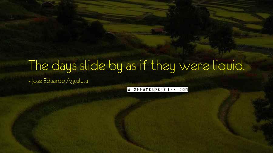 Jose Eduardo Agualusa quotes: The days slide by as if they were liquid.