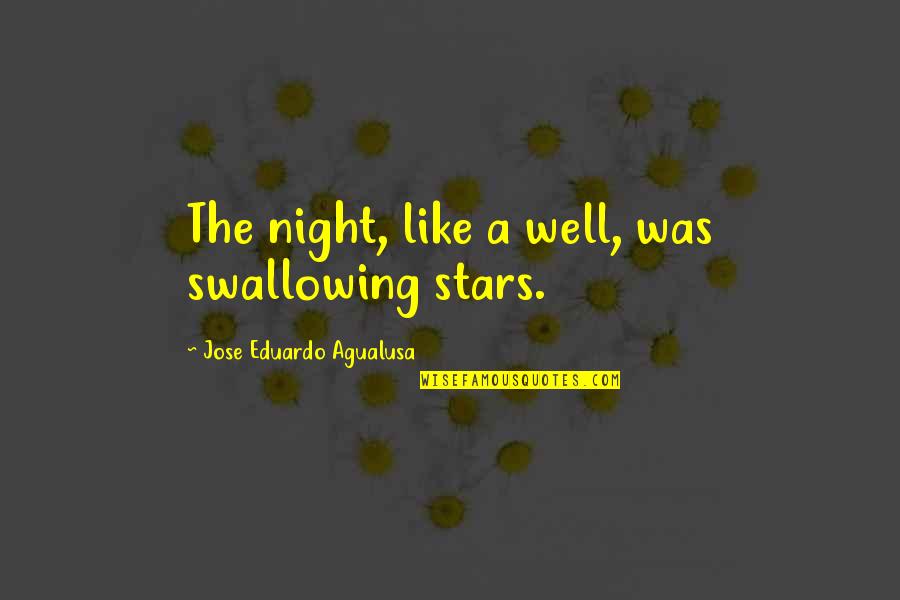 Jose Eduardo Agualusa Quotes By Jose Eduardo Agualusa: The night, like a well, was swallowing stars.
