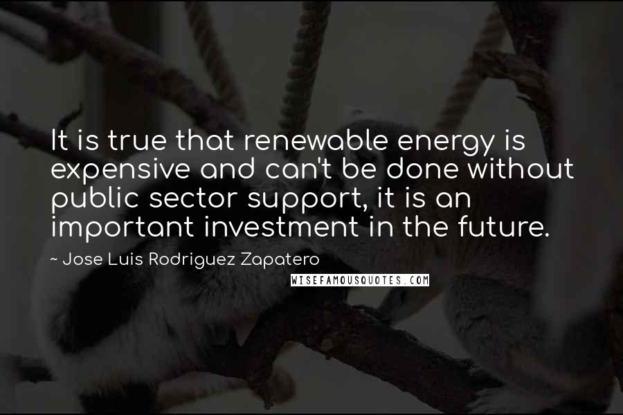 Jose Luis Rodriguez Zapatero quotes: It is true that renewable energy is expensive and can't be done without public sector support, it is an important investment in the future. Jose Luis Rodriguez Zapatero quotes: It is true that renewable energy is expensive and can't be done without public sector support, it is an important investment in the future.