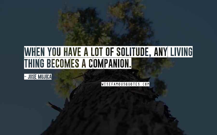 Jose Mujica quotes: When you have a lot of solitude, any living thing becomes a companion.