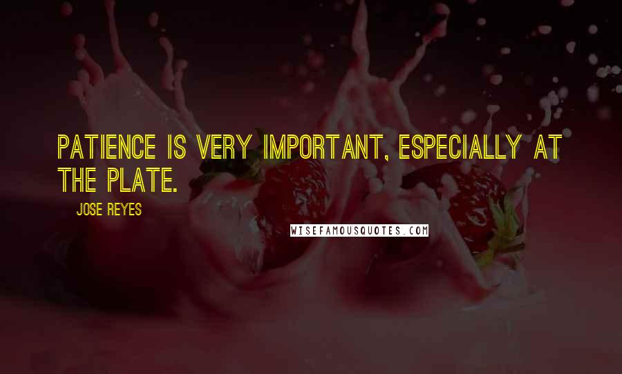 Jose Reyes quotes: Patience is very important, especially at the plate.