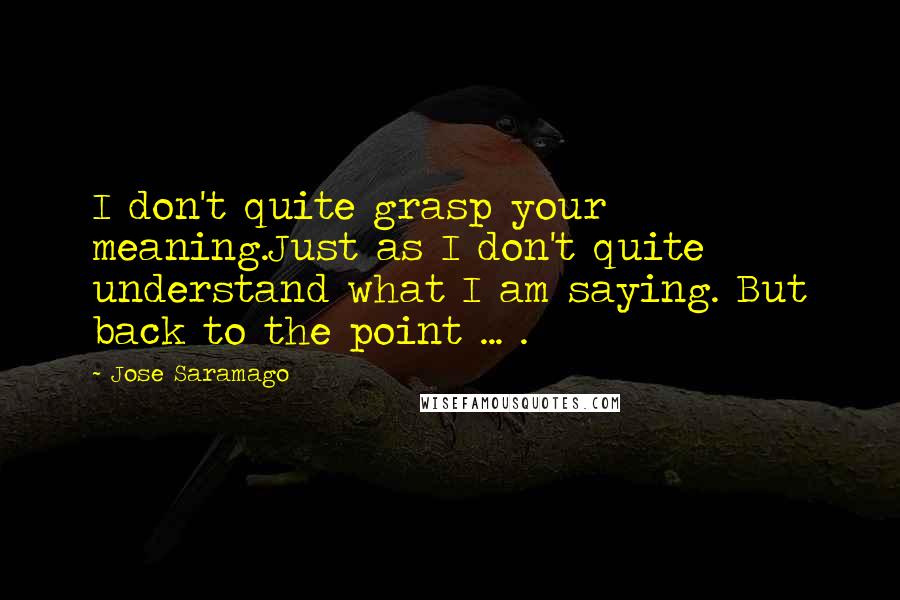 Jose Saramago quotes: I don't quite grasp your meaning.Just as I don't quite understand what I am saying. But back to the point ... .