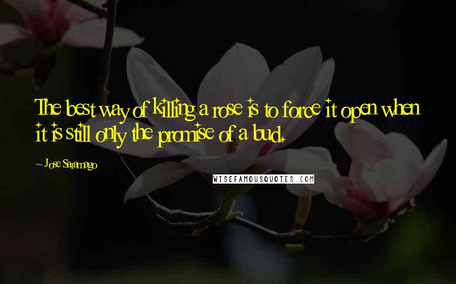 Jose Saramago quotes: The best way of killing a rose is to force it open when it is still only the promise of a bud.