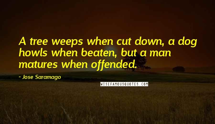 Jose Saramago quotes: A tree weeps when cut down, a dog howls when beaten, but a man matures when offended.