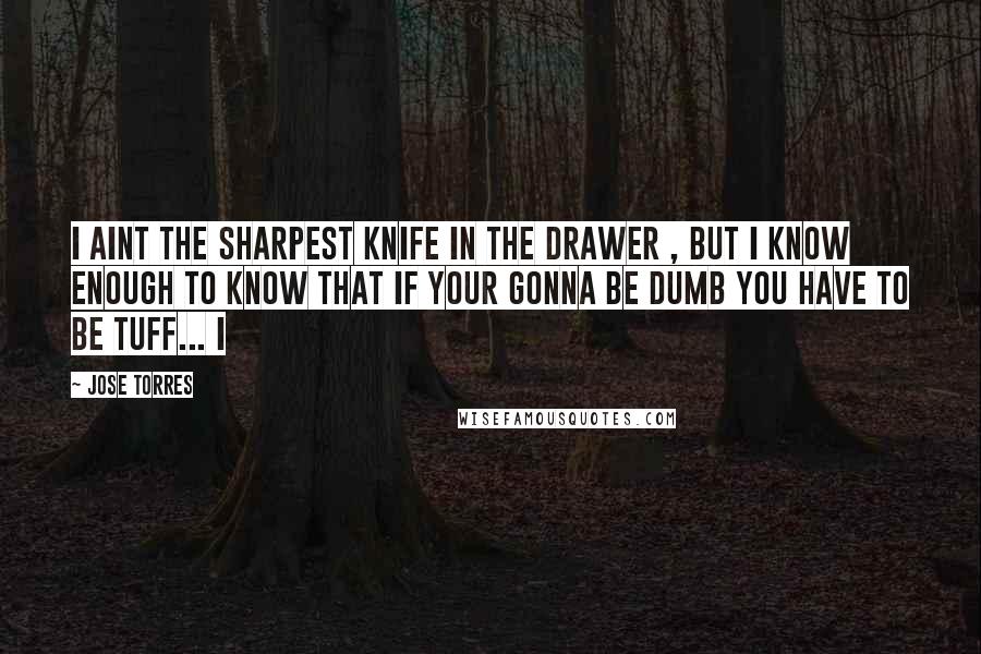 Jose Torres quotes: i aint the sharpest knife in the drawer , but i know enough to know that if your gonna be dumb you have to be tuff... i