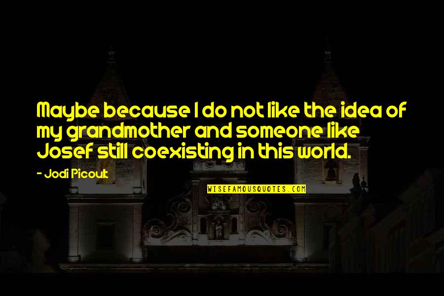 Josef K Quotes By Jodi Picoult: Maybe because I do not like the idea Josef K Quotes By Jodi Picoult: Maybe because I do not like the idea