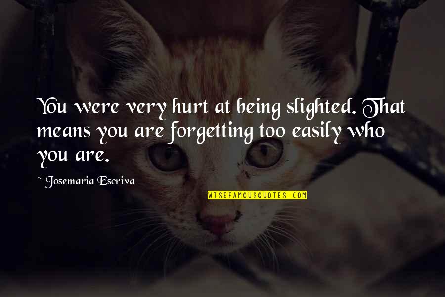 Josemaria Escriva Quotes By Josemaria Escriva: You were very hurt at being slighted. That