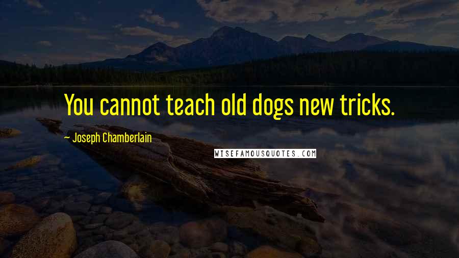 Joseph Chamberlain quotes: You cannot teach old dogs new tricks.