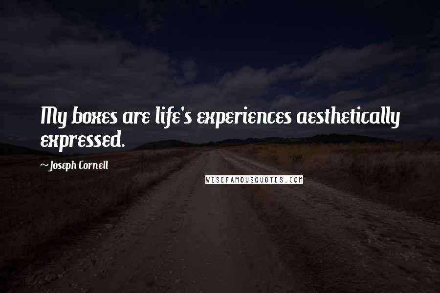 Joseph Cornell quotes: My boxes are life's experiences aesthetically expressed.
