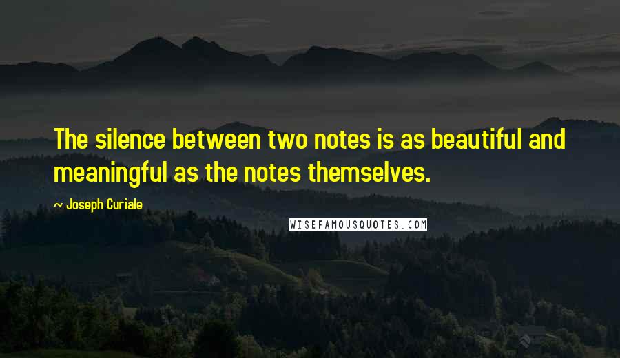 Joseph Curiale quotes: The silence between two notes is as beautiful and meaningful as the notes themselves.