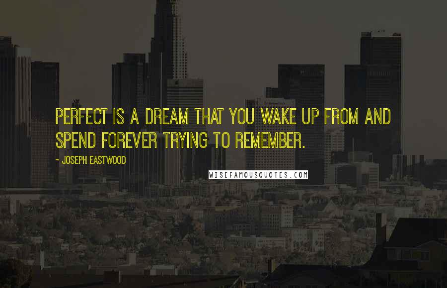 Joseph Eastwood quotes: Perfect is a dream that you wake up from and spend forever trying to remember.