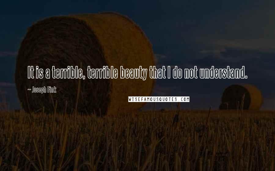 Joseph Fink quotes: It is a terrible, terrible beauty that I do not understand.