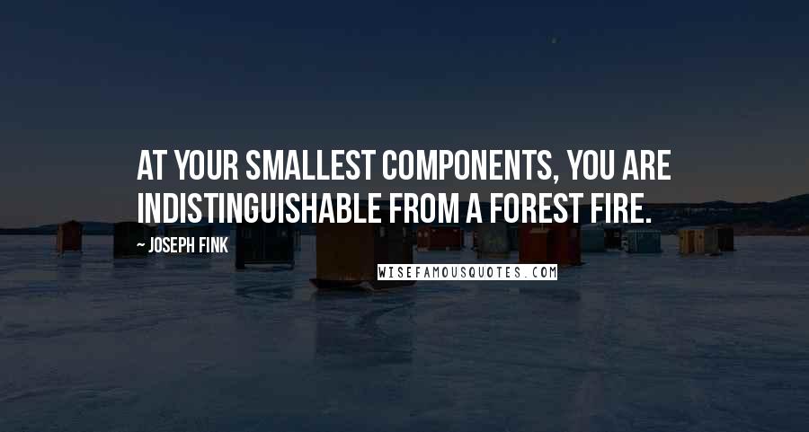 Joseph Fink quotes: At your smallest components, you are indistinguishable from a forest fire.