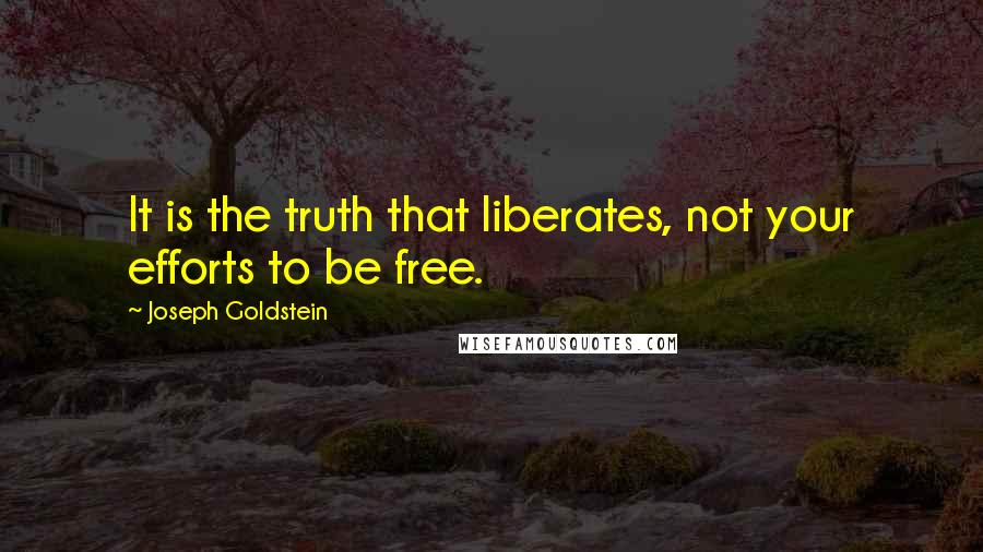 Joseph Goldstein quotes: It is the truth that liberates, not your efforts to be free.