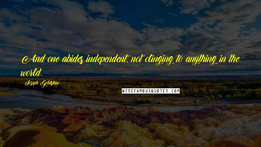 Joseph Goldstein quotes: And one abides independent, not clinging to anything in the world.