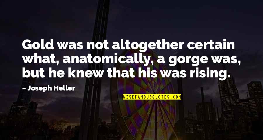 Joseph Heller Quotes By Joseph Heller: Gold was not altogether certain what, anatomically, a
