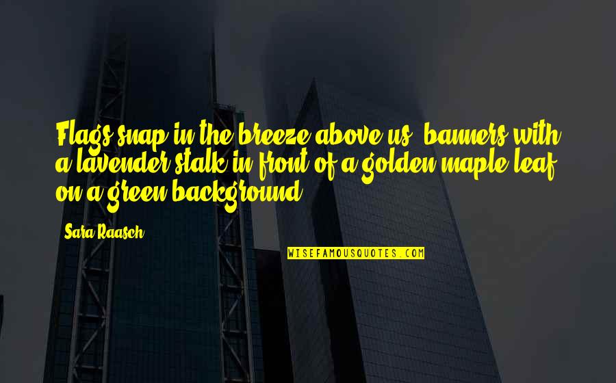 Joseph Joestar Famous Quotes By Sara Raasch: Flags snap in the breeze above us, banners Joseph Joestar Famous Quotes By Sara Raasch: Flags snap in the breeze above us, banners