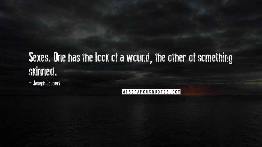 Joseph Joubert quotes: Sexes. One has the look of a wound, the other of something skinned.