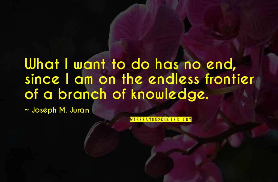 Joseph Juran Quotes By Joseph M. Juran: What I want to do has no end,