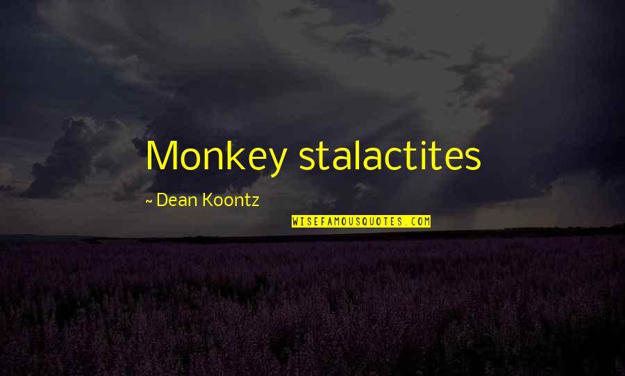 Joseph Kimble Quotes By Dean Koontz: Monkey stalactites