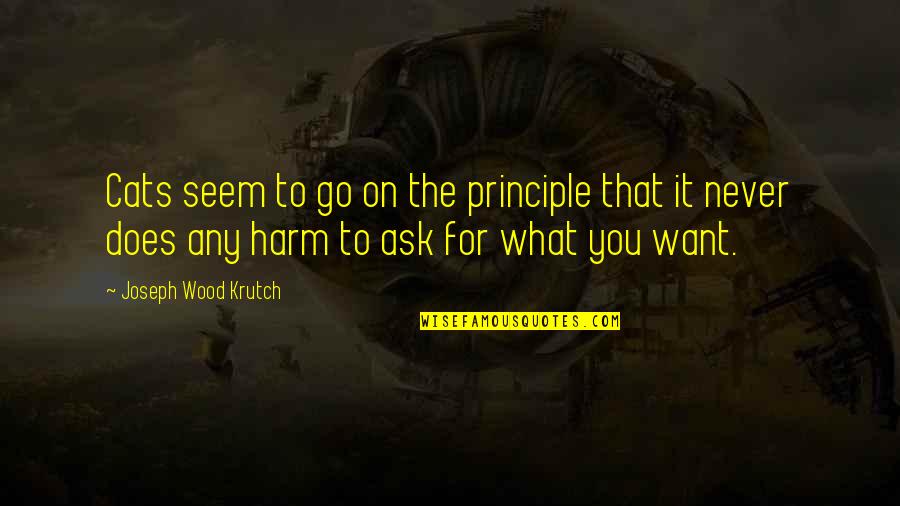 Joseph Krutch Quotes By Joseph Wood Krutch: Cats seem to go on the principle that Joseph Krutch Quotes By Joseph Wood Krutch: Cats seem to go on the principle that
