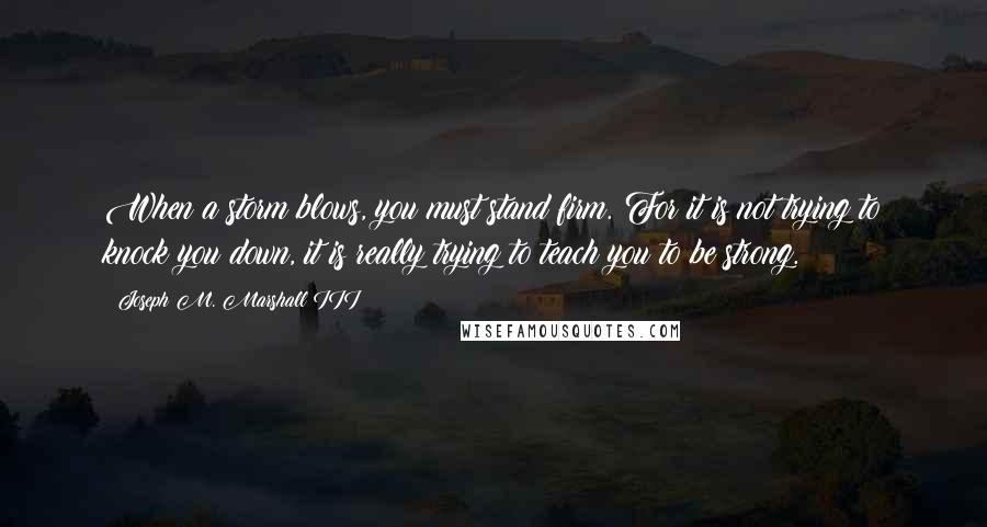 Joseph M. Marshall III quotes: When a storm blows, you must stand firm. For it is not trying to knock you down, it is really trying to teach you to be strong. Joseph M. Marshall III quotes: When a storm blows, you must stand firm. For it is not trying to knock you down, it is really trying to teach you to be strong.