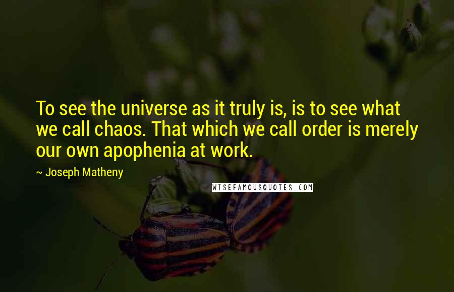 Joseph Matheny quotes: To see the universe as it truly is, is to see what we call chaos. That which we call order is merely our own apophenia at work.
