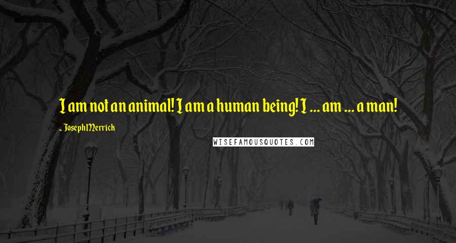 Joseph Merrick quotes: I am not an animal! I am a human being! I ... am ... a man!