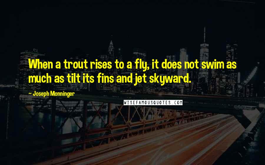 Joseph Monninger quotes: When a trout rises to a fly, it does not swim as much as tilt its fins and jet skyward.