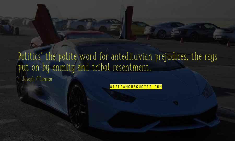 Joseph O'connor Quotes By Joseph O'Connor: Politics' the polite word for antediluvian prejudices, the