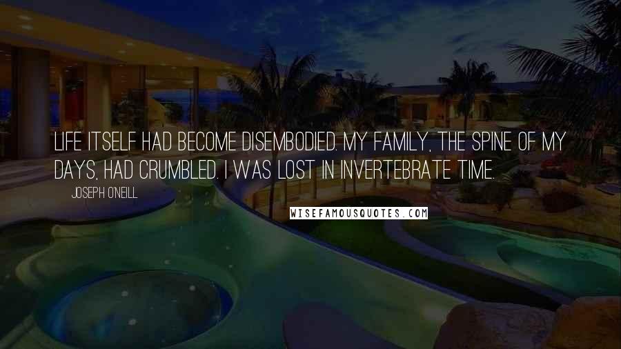 Joseph O'Neill quotes: Life itself had become disembodied. My family, the spine of my days, had crumbled. I was lost in invertebrate time.